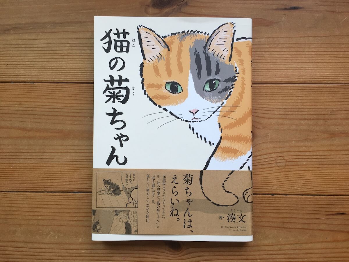 ほっこり癒やされる猫マンガ『猫の菊ちゃん』を読みました